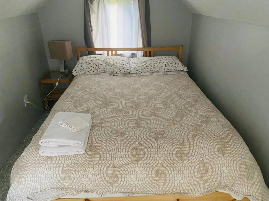 Artistic Apartment Near Downtown Victoria Bagian luar foto